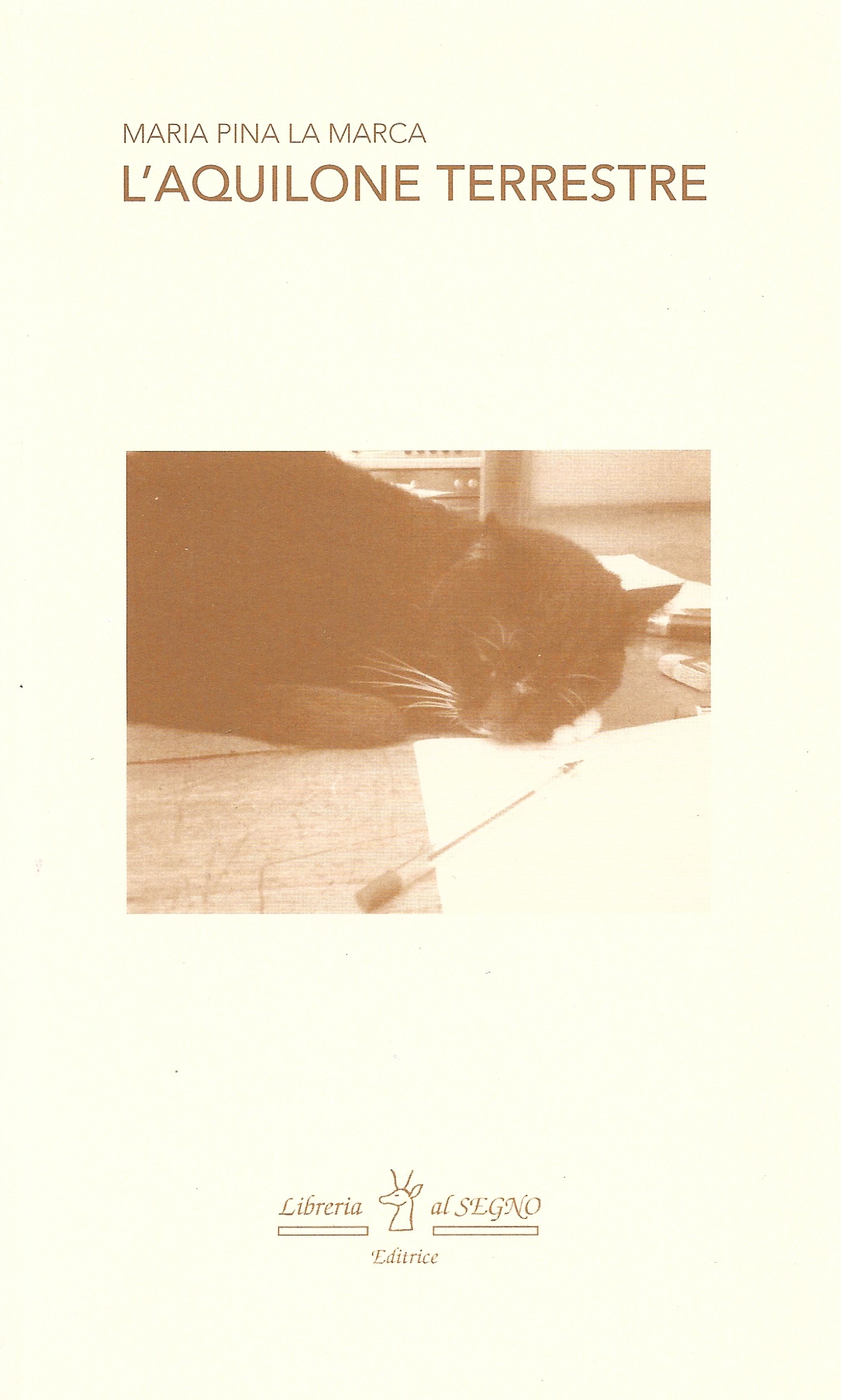 Copertina del libro L'aquilone terrestre